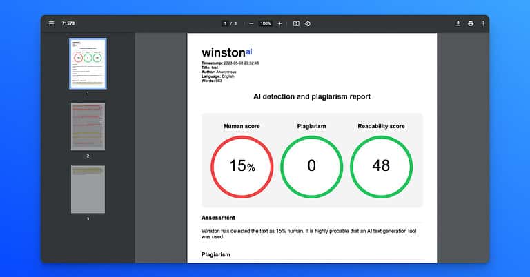 Winston AI Printable PDF Report